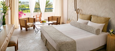 Premium Mountain View (33m2)