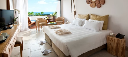 Superior Deluxe Sea View (33m2)