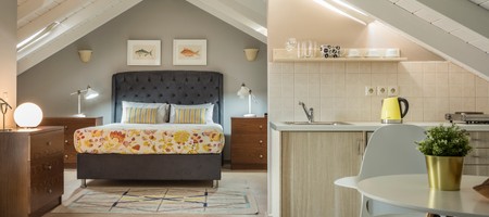 Executive Loft Suite No 110