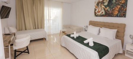 Junior Suite | Mountain View