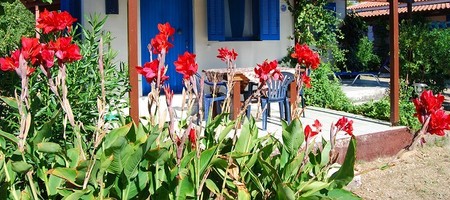 House 2 up to 4 persons