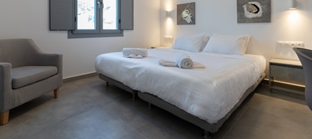 Cozy Ground Floor City Studio