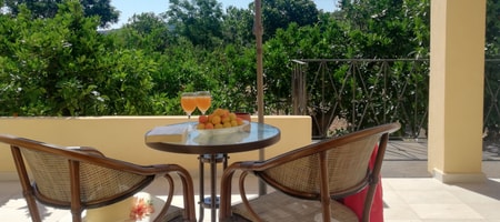 Double or Twin Room Orchard View