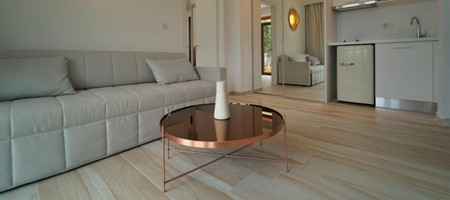 Luxury Ground Floor Apartment