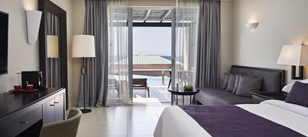 Twin / Double Room with Plunge Private Pool Sea View