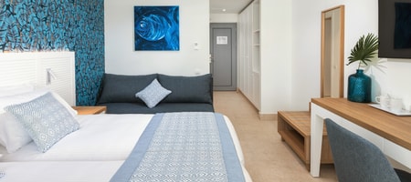 Twin/Double Room (30 m2)