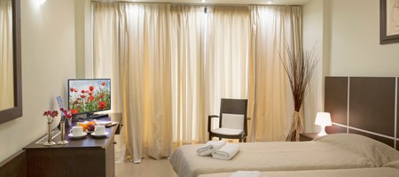 Standard Twin Room