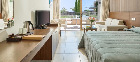 Single Room Garden View