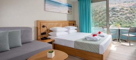 Superior Single Room with Land View