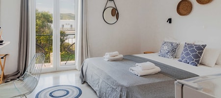 Double Room with Balcony