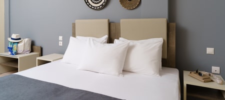Double or Twin Room Mountain View