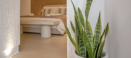 Garden View Suite