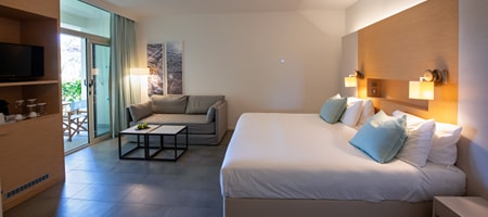 Deluxe Room Pool & Garden view