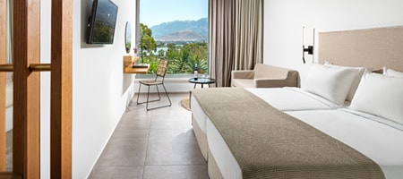Double Standard Room