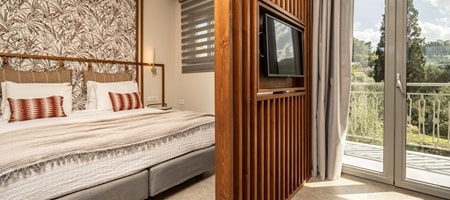 Junior Suite Apartment