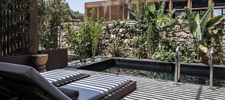 Tropical Junior Suite with Plunge Pool