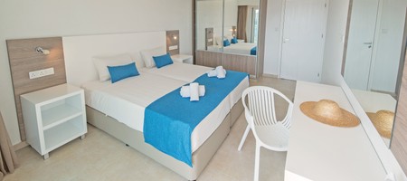 Luxury One Bedroom Apartment