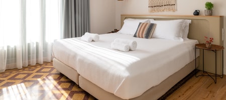Deluxe Double Room - Plumeria