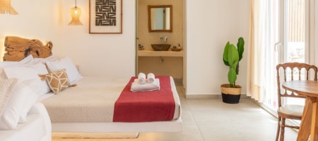 Junior Suite with Plunge Pool