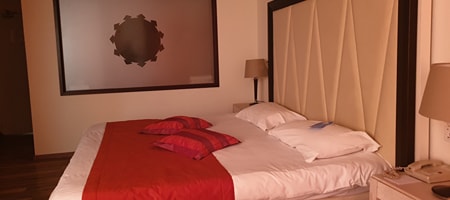 Executive Double or Twin Bed