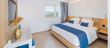 Two-Floor Superior Suite