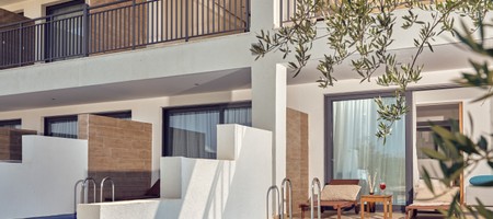 Deluxe Suite with Private Pool | Annex 200m
