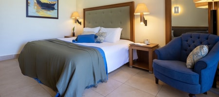 Superior Deluxe Double Room Shared Pool