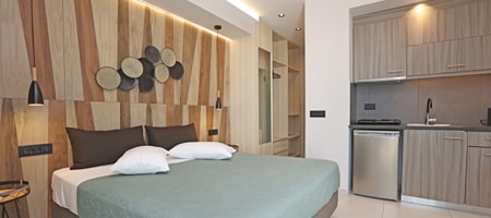 Deluxe Double Room with Garden View 3