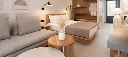 One-Bedroom Deluxe Apartment