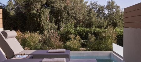 Deluxe Suite Forest View & Private Pool (Accessible)