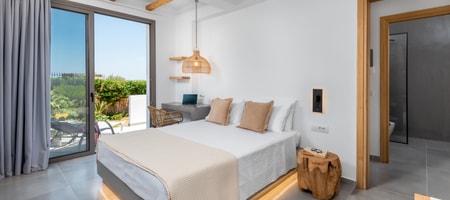 Deluxe 2-Bedroom Apartment