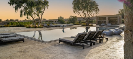 Phaos at Cellaria Estate
