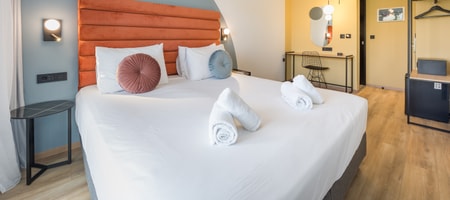 Deluxe Room City view 21m²