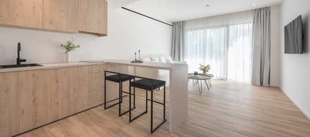 Executive Apartment 2.4