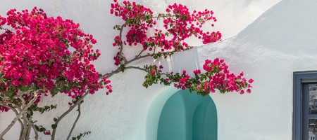 Swallows'Nest Suite with Plunge Pool | Caldera View
