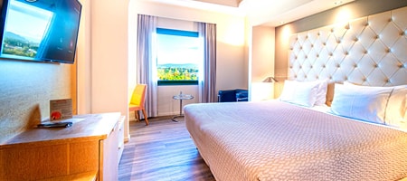 Executive Mountain view room