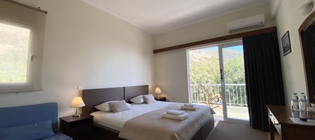 Pet Friendly Double Room