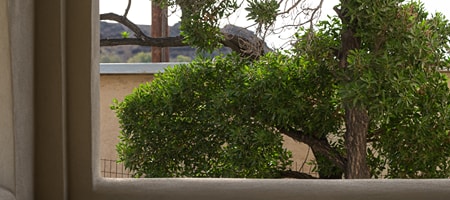 Double Room Garden View