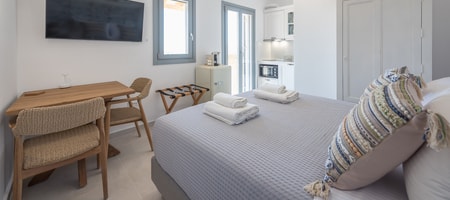 Standard Double Studio - Panoramic View (3)