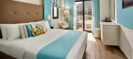 Superior Single Room Mountain View