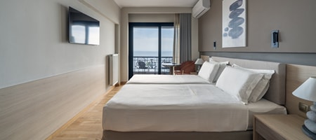 Sea View Room with twin beds