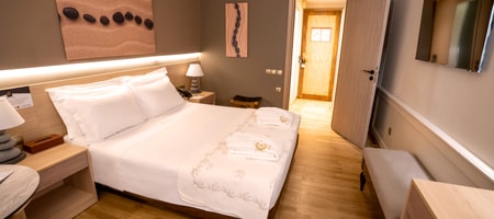 Standard Double or Twin Room