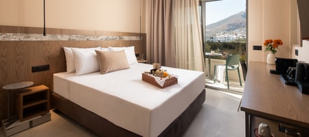 Comfort Room with City View 20m²