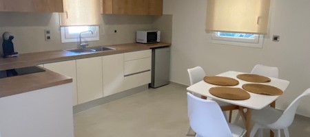 Dionysos - Standard Apartment