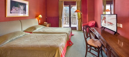 Double or Twin Room
