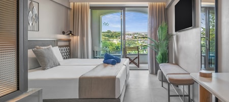 Superior Double Room Mountain View