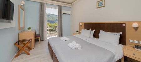 Standard Twin/Double Room