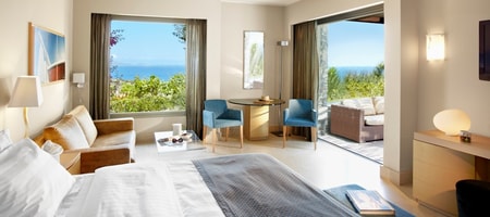 Premium Junior Suite with Private Pool