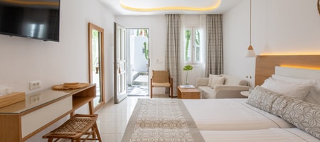 Classic Double Room