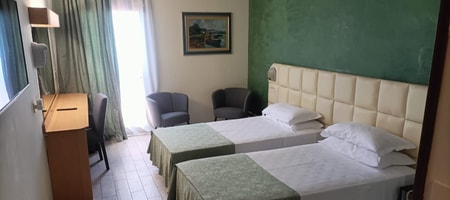Classic Twin Room